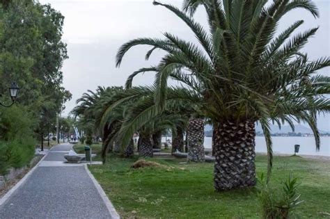 Since the local government reform of 2011, it has been a municipal unit within the municipality of marathon. Nea Makri, Greece, Seafront Promenade | Violeta Matei ...