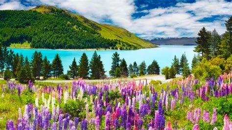 10 Natural Wonders Of New Zealand You Must See Before You Die