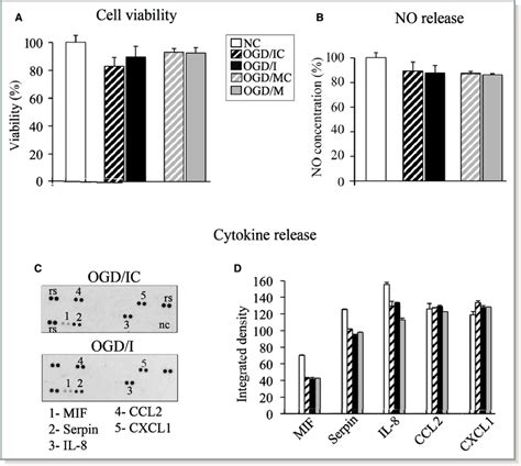 Microrna 155 Mir 155 Inhibition Does Not Affect Viability And