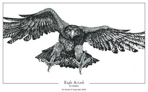 Eagle Attack By Ziig On Deviantart