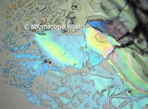 Microscope World Blog Sugar Under A Polarizing Microscope