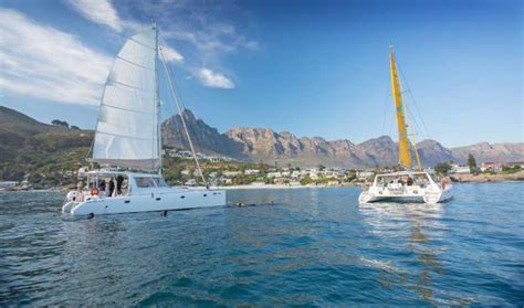 Cape Town Vanda Waterfront Champagne Cruise Getyourguide