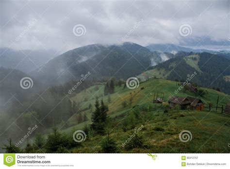 Morning Dew Fog Sun Rays In Mountains Stock Image Image Of Forest