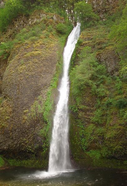 Horsetail Falls Loop Hike Hiking In Portland Oregon And Washington