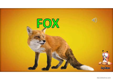 ANIMAL SOUNDS PART 2: English ESL powerpoints