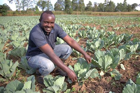 Kenyan Growers Celebrate Robust Harvests In First Year Of Farm Africa