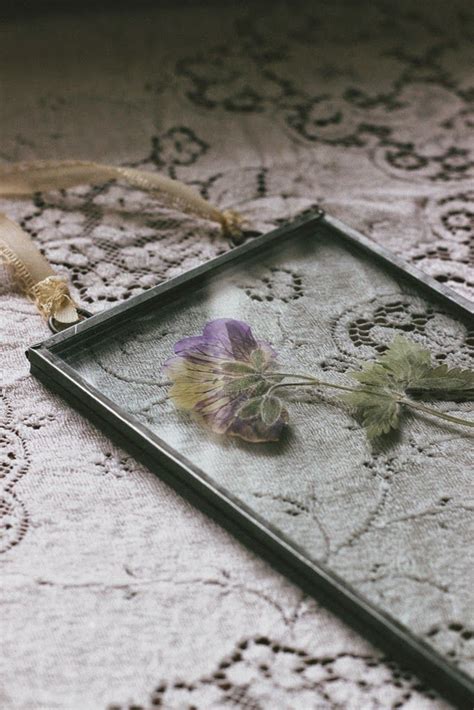 Glass frame for pressed flowers uk. Pressed wild flowers in glass frames | Dried flowers diy ...