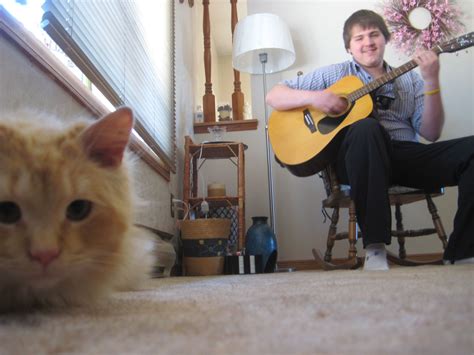 Playing Music To His Cat Sines Music Instruments Guitar Cats Gatos