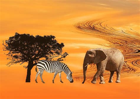 African Safari Digital Art By Sharon Lisa Clarke Fine Art America