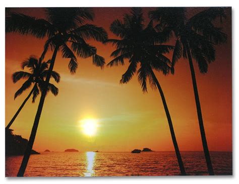 Explore our collection of quality western lighting, decor, and more. Beach Sunset LED Canvas Print Lighted Wall Decor 12 x 16 Sunset Palm Trees New 794580025729 | eBay