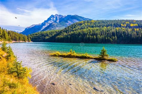 The Pure Turquoise Water Of The Lake Stock Image Image Of Canada