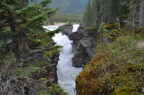Athabasca Alberta 2024 All You Need To Know Before You Go Tripadvisor