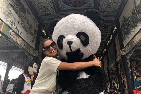 Full Day Chengdu Panda And Mountain Tour 2024