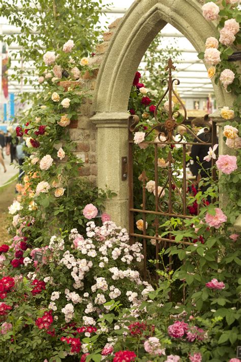 Home contact weddings gorgeous bouquets wreaths workshops christmas the garden 2020 workshops. RHS Chelsea Flower Show - Focus on the Flowers! - Flirty ...