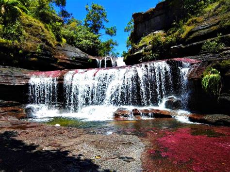 Stunning Caño Cristales Colombia Top 10 Experiences