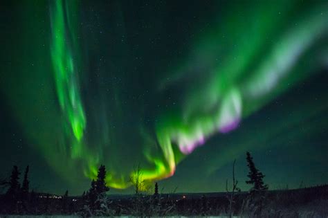 Things To Do In Fairbanks Alaska Northern Lights