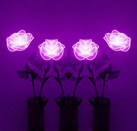 Find over 100+ of the best free aesthetic images. roses neon purple flowers neonsign... | Neon flowers ...