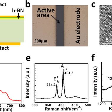 Schematic Structure Of The MoS2 H BN GaAs Heterostructure B Optical