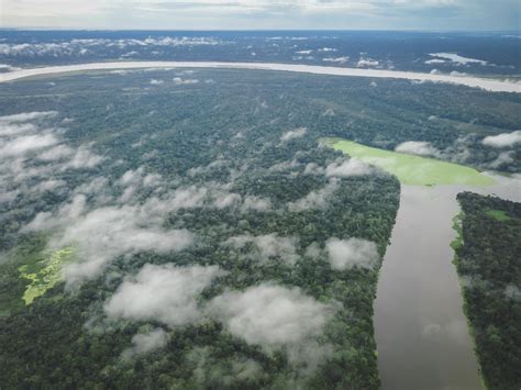 Surprising And Fun Facts About The Amazon River Trip Trip