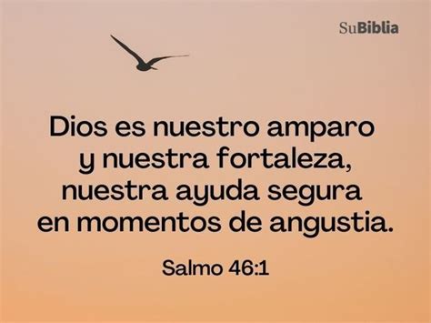 Salmo Para Los Enfermos La Biblia Nos Da Esperanza En Los Momentos