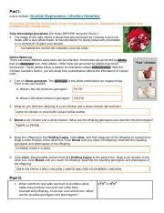 This is just one of. Chicken Genetics Gizmo Worksheet Answer Key - The ...