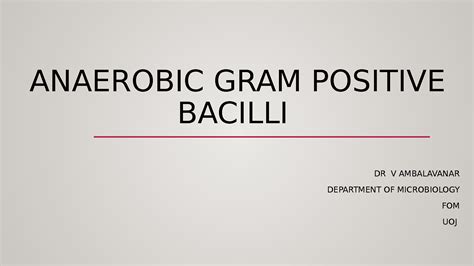 Solution Anaerobic Gram Positive Bacilli Part 1 41st1 Studypool