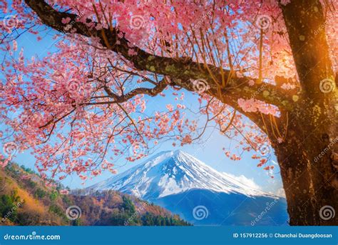 Mountain Fuji Kawaguchi Lake Sakura Cherry Blossom Japan Spring Season