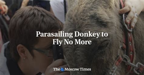Parasailing Donkey To Fly No More