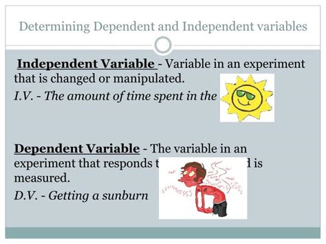 The independent variable (iv) is the characteristic of a psychology experiment that is manipulated or changed by researchers, not by other variables in the experiment. PPT - Independent and Dependent Variables PowerPoint ...