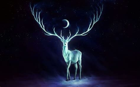 Hd Wallpaper White Deer Walking In The Night Reindeer Illustration