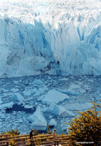 It will take you far out of the way, but visiting the perito moreno glacier in the deep south of argentina will mean you are viewing one of the most phenomenal the closest neighbouring town to the massive glacier is that of el calafate, roughly 78 kilometres to the west. Glacier, Argentina