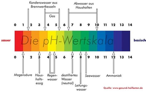 Um die begriffe säure und base haben sich in der chemie verschiedene konzepte entwickelt, die auf unterschiedlichen begriffsdefinitionen beruhen. Säure basen haushalt - Gesunde Ernährung Lebensmittel