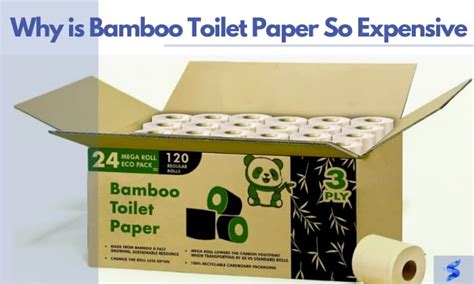 Why Is Bamboo Toilet Paper So Expensive 4 Main Reasons