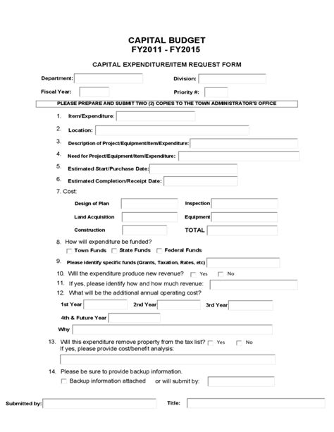 detailed capital budget form