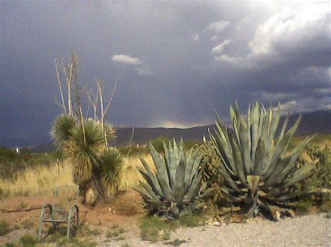 Alamogordo Nm Beautiful Country New Mexico Vacation New Mexico
