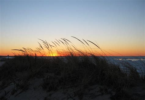 Beach Grass Sunset New England