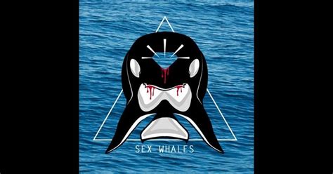 Перевод песен исполнителя Sex Whales