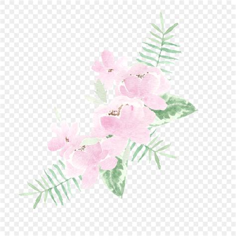 Pink Flower Arrangement PNG Transparent Soft Pink Peony Watercolor