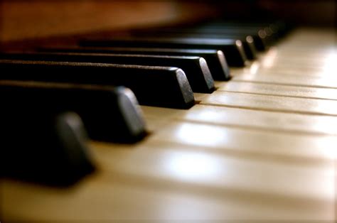🎹 Diferencia entre piano y órgano - Diferencias.es