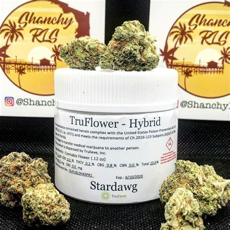 Strain Review Stardawg By Truflower The Highest Critic