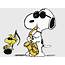 Snoopy Wallpapers  Cartoon