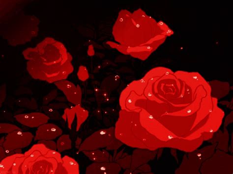 Red Roses With Drops Of Water On Them In The Dark Night Time Against A