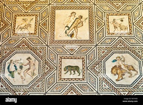 Roman Floor Mosaic Dionysus Mosaic Roman Germanic Museum Cologne