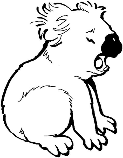 All 6 of these cute koala pictures have black lines. Free Printable Koala Coloring Pages For Kids