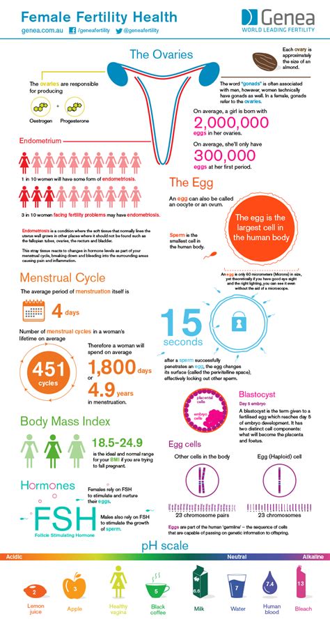 female fertility health infographic ~ visualistan