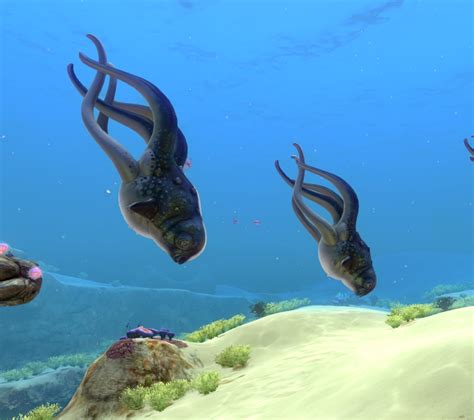 Image Cute Fish 3 Subnautica Wiki Fandom Powered By Wikia