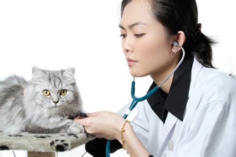 Check spelling or type a new query. 21 de julio día del Médico Veterinario en Venezuela