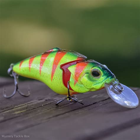 Crankbait Fishing Tips Everything You Ever Wanted To Know About