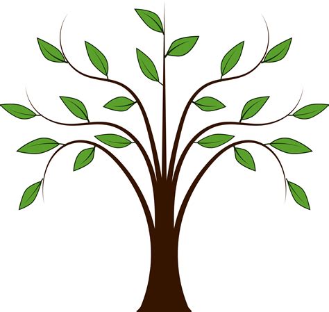 Collection Of Tree Png Vector Pluspng