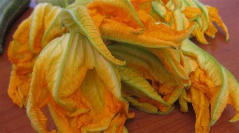 I fiori di zucca fritti sono un goloso antipasto preparato in tutta italia. Fiori di Zucca fritti che bontà - Positanonews